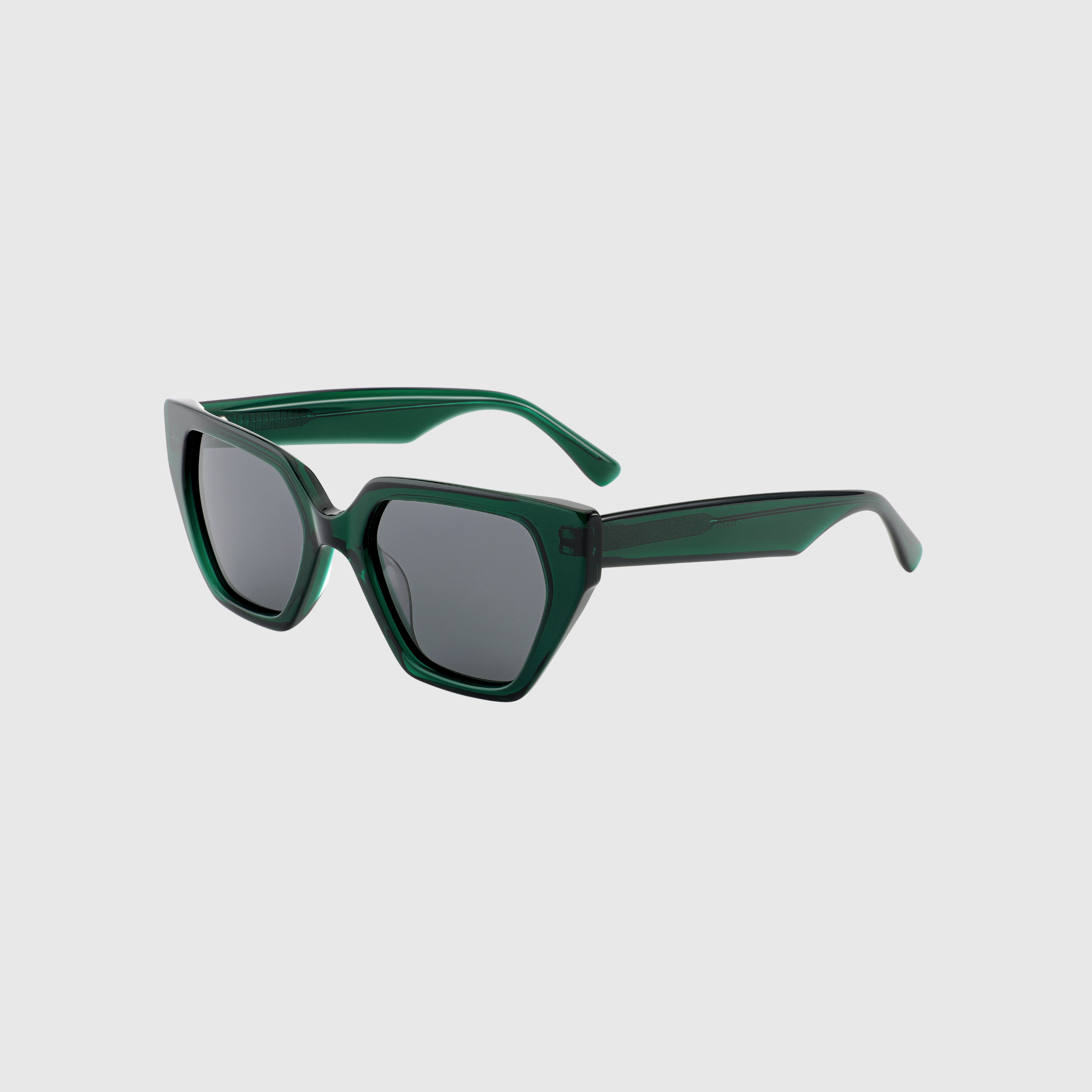 Lail Contour Bold Geometric Sunglasses